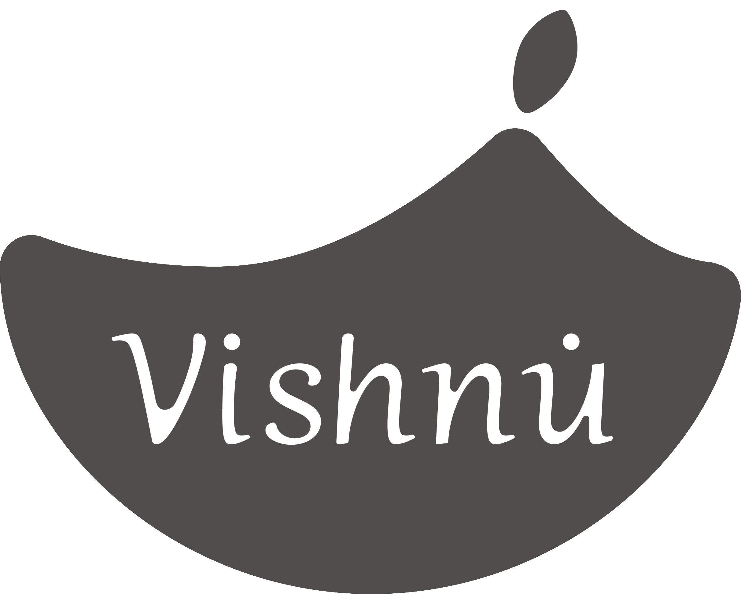 Logo Vishnu